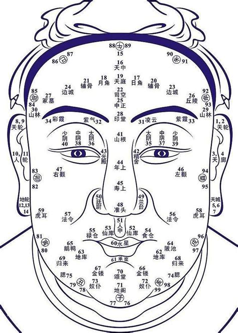 鼻子 面向|史上最全的面相五官“算命”图文详解（精品收藏）